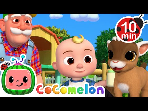 JJ Helps Baby Farm Animals Escape! | CoComelon Kids Songs & Nursery Rhymes