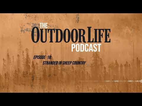 Episode 18: Stranded in Sheep Country