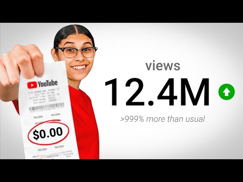 How This YouTuber Gained 1M Subscribers (with $0)