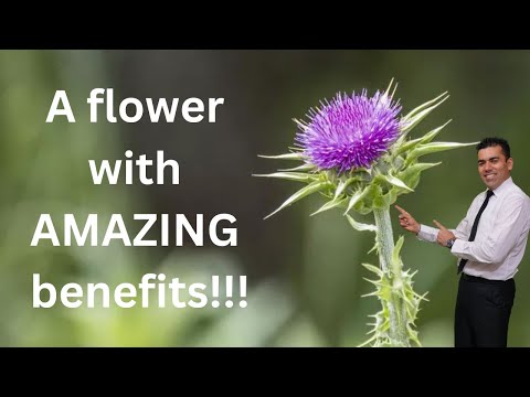 Flower Power!! Yes one flower with amazing amazing benefits! Lets find out.