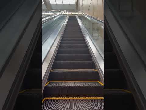 One Minute Escalator Ride Alone