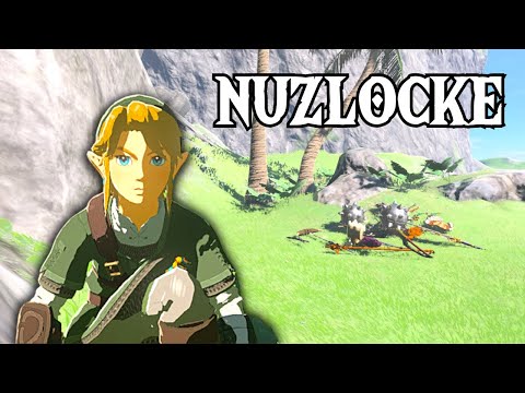 What Would A Nuzlocke Look Like In Zelda TOTK?