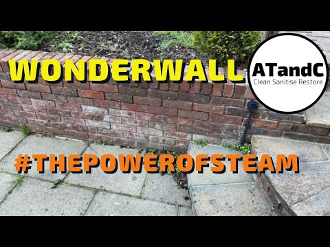 wonderwall #thepowerofsteam #efflorescence  #wallcleaning