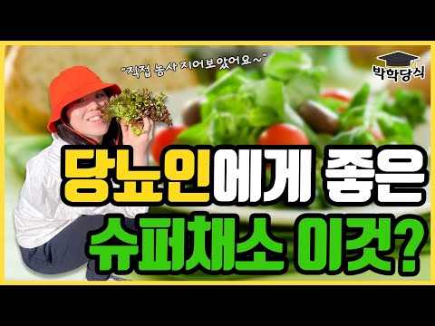 당뇨인이라면 비타민, 미네랄은 이 채소로 채워보세요! | 당뇨문의 : 1644-5178