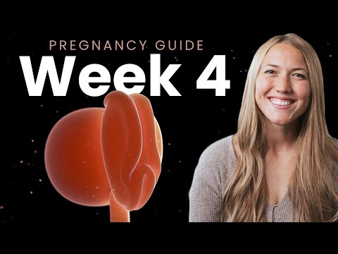 4 Weeks Pregnant | Week By Week Pregnancy