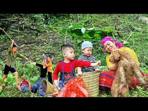 Single Mother - Build A Bamboo House With Your Children - Start A New Life | Lý Bình Ca