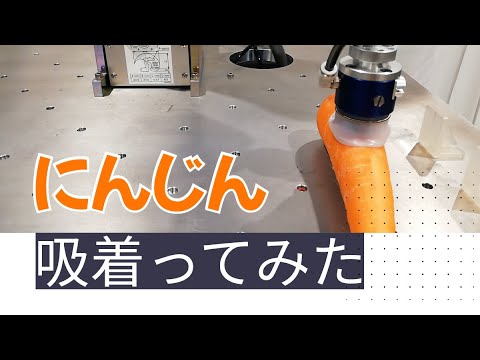 【吸着ってみた】にんじん【コンバム】