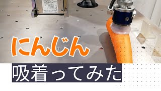 【吸着ってみた】にんじん【コンバム】