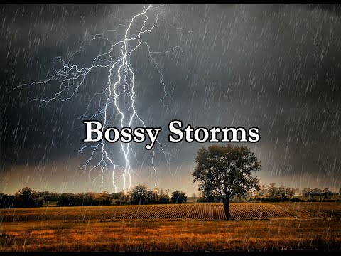 NATURE'S WAY - by TKING N MINISTRIES - Bossy Storms (TKING)