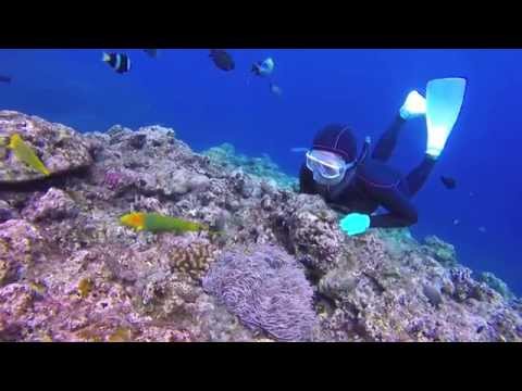 沖縄の真栄田岬で素潜り！ Freediving in Okinawa, Japan!（11月）