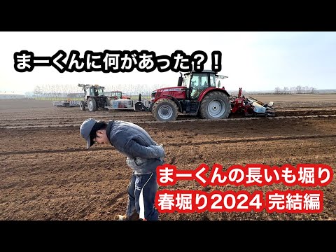 【長いも収穫】春堀り2024 完結編 まーくんの春の作業は？！