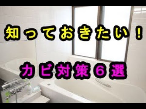 知っておきたい！風呂場、浴室の気になるカビ対策６選♡～Measures to take care of bathroom and bathroom.