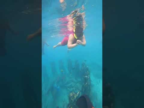 Snorkelling above the sunken statues of Gili Trawangan!