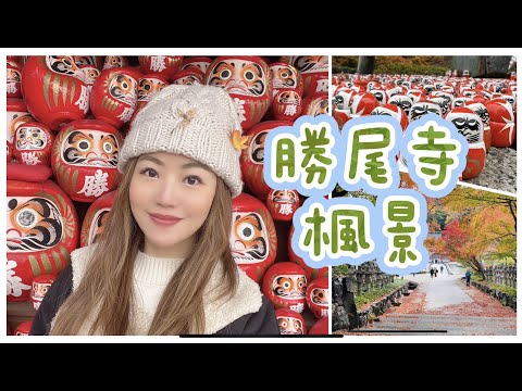 【大阪vlog】  勝尾寺 / 達摩遍布每一角落 / 最美🍁楓景勝地 / 33粒雞蛋糕？ / 炸串初體驗 🍤🍢