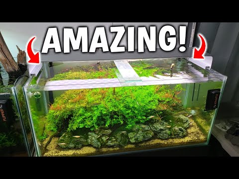 MOST STYLISH HIGH TECH AQUARIUM LED FOR YOUR PLANTED TANK!? - ONF FLAT ONE