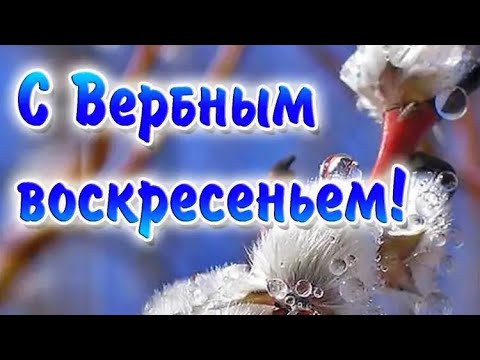 ВЕРБНОЕ ВОСКРЕСЕНЬЕ! МУЗЫКАЛЬНАЯ ОТКРЫТКА 🎶 С ПРАЗДНИКОМ!