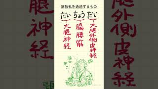 筋裂孔を通過するものの語呂合わせ～20秒で国試対策～