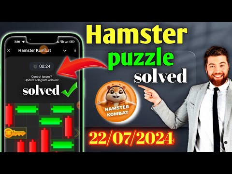 Hamster 22 july mini game puzzle l mini game puzzle l hamster new game problem solved l