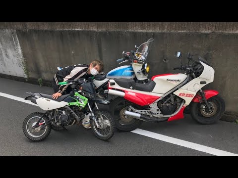 My motorcycles from Tokyo, Japan  私のバイク達。…とGSXハヤブサの一応始動動画。