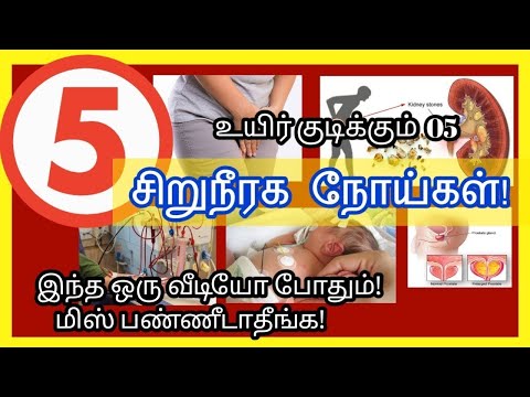 kidney pain location on body in tamil | kidney failure symptoms in tamil | kidney failure tamil