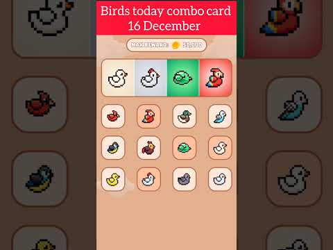 BIRDS 16 DECEMBER COMBO CARD|| BIRDS AIRDROP UPDATE || BIRDS LITING Q1