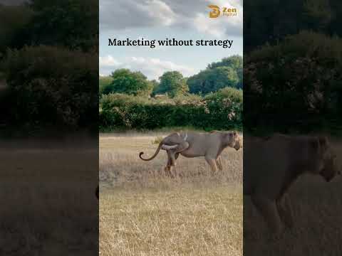 Marketing without strategy #marketingstrategy #strategicmarketing