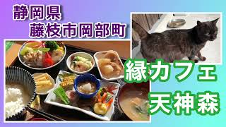 【藤枝市岡部町】縁カフェ天神森・旬の野菜の｢おまかせランチ」／おかべ巨石の森公園