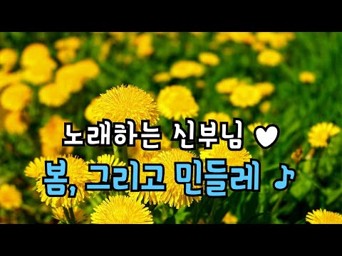 노래하는 신부님♥ 봄,그리고 민들레♪ - 모란 마리아 곡