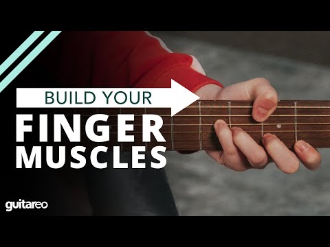 How to Play D and G - Guitar Chord Workout for Beginners