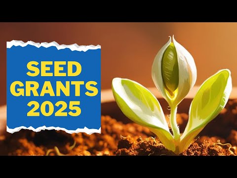 2025 Seed Grants: Empowering New Projects and Startups | Grant Call | Seed Money