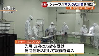 マスク不足解消へ　シャープがマスクの出荷開始　三重県の工場で生産　政府調達向け (20/03/31 19:03)