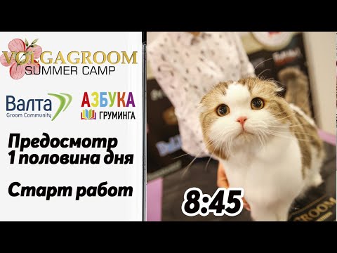 День 2. Предосмотр, старт работ