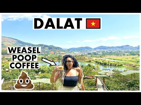 Top things to do in Dalat! 🇻🇳 Rollercoaster, Weasel poop coffee, Waterfalls & Local Delicacies