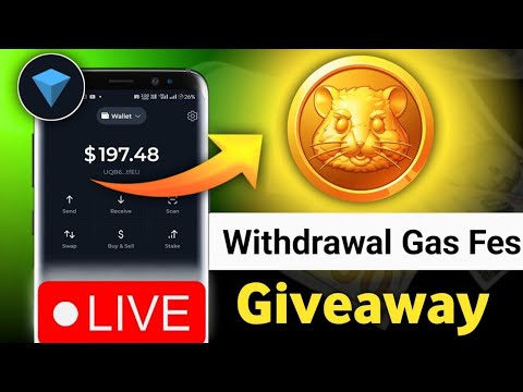 Ton Coin Giveaway Live 🎁 Hamster Kombat Gas Fees And Dogs Gas Fees