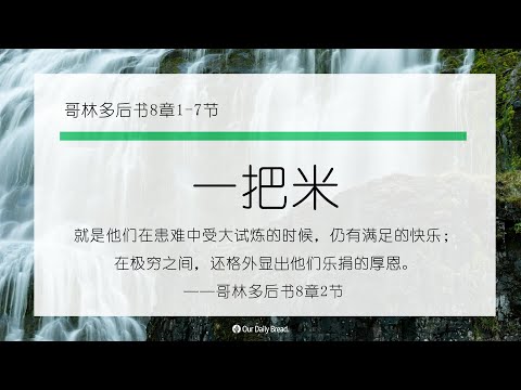 11月12日《灵命日粮》文章视频-一把米