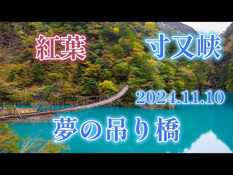 【絶景】寸又峡 夢の吊り橋と紅葉　｜2024.11.10｜静岡県｜川根本町｜南アルプス｜