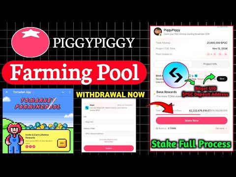 Tomarket PiggyPiggy Staking Pool | $TOMA & $PGC Bitget Exchange Withdrawal | Toma Pool Airdrop