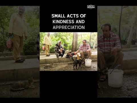 The Power of Small Acts: Enhancing Relationship Satisfaction Through Kindness and Appreciation