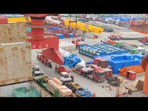 Cargo loading at Shanghai seaport|Shanghai,China| #shanghai #china #seaport