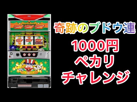 1000円ペカリチャレンジ