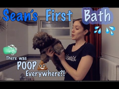 Sean's First Bath! There was poop everywhere!