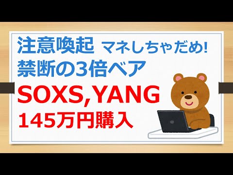 SOXS、YANG、145万円購入、禁断の3倍ベア【有村ポウの資産運用】241005