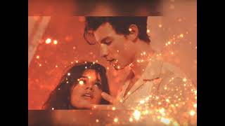 ShawnMendes X CamilaCabilo (Senorita)..