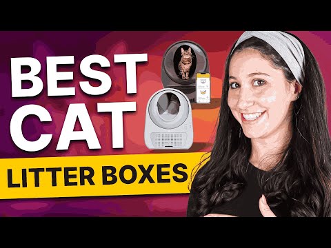 Best Cat Litter Box For 2025