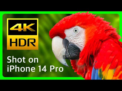 iPhone 14 Pro Max: Amazing 4K HDR for a Phone! | Dolby Vision & Prores Short Demo