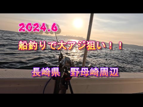 Fishing for big horse mackerel on a boat! (Nagasaki Prefecture, around Nomozaki) 2024.06