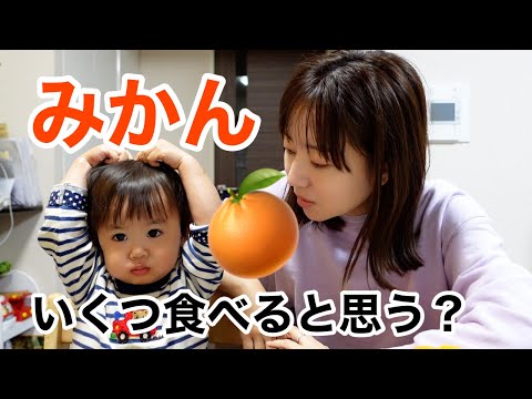 【みかん】１歳児に大好物を好きなだけ食べさせたらいくつ食べるのか…【モッパン】