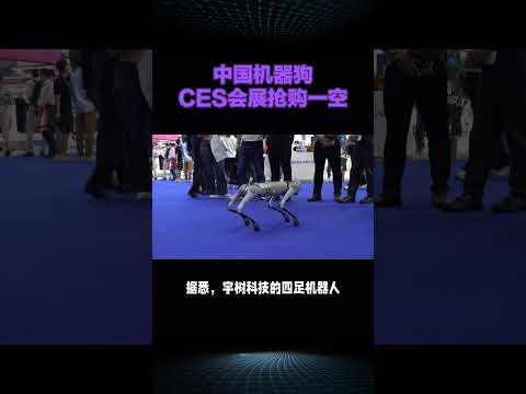 中国机械狗ces会展抢购一空#高科技智能机器狗 #机器狗 #ces#中国