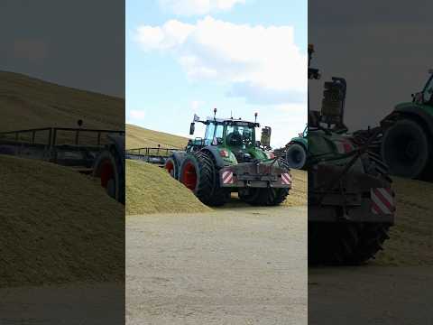 Mais Action🔥#fendt #farming #landwirtschaft #landwirtschaftsmaschinen #2024 #agriculture #maisernte