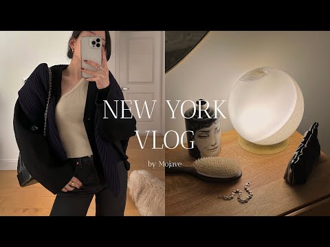 New York vlog🗽Night routine | Vintage shopping at Beacon's closet | Chicago Deep dish pizza[Eng sub]